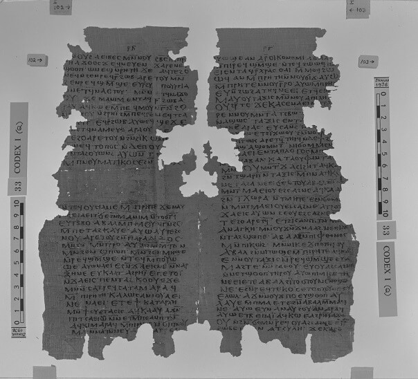 The Nag Hammadi codice